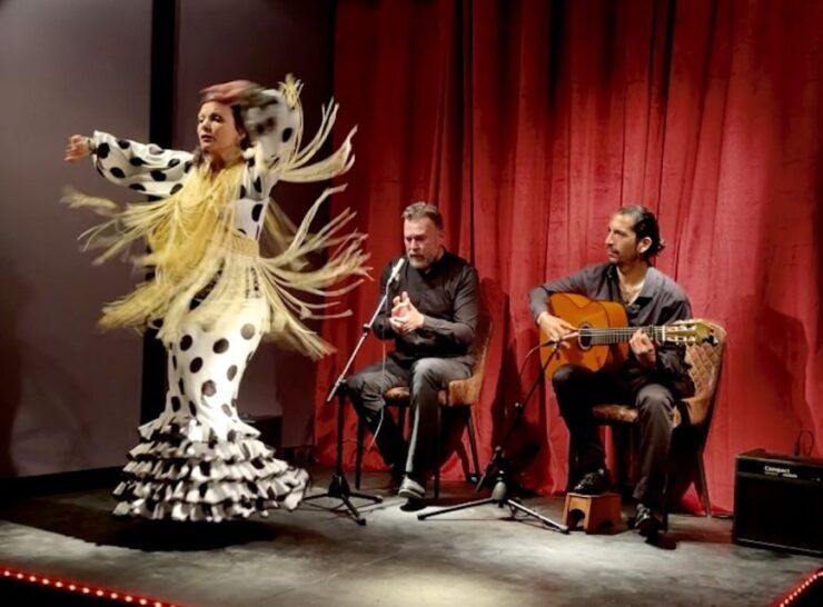 Barcelona: Flamenco Premium Show and Tour Guitar Museum - Experience Offered