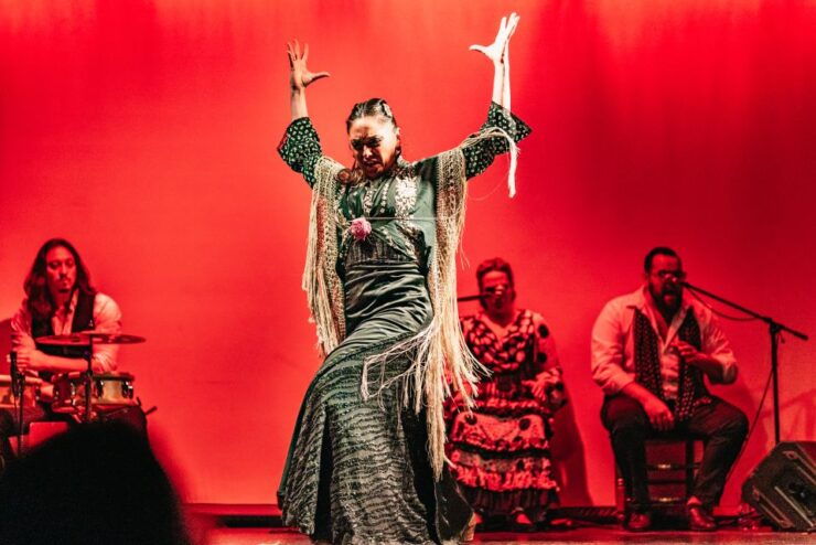 Barcelona: Flamenco Show at City Hall Theater - Experience Highlights