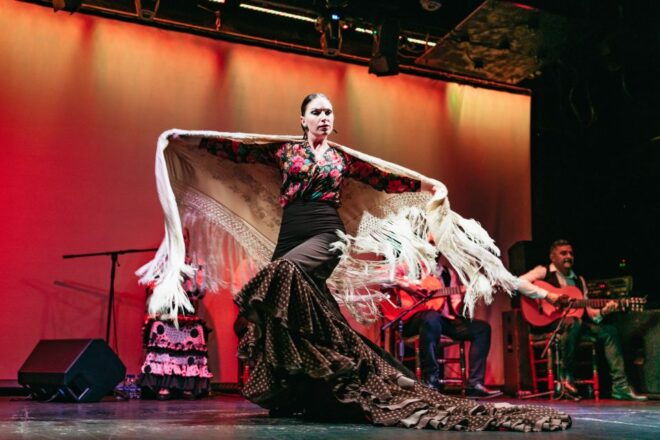 Barcelona: Flamenco Show at City Hall Theater - Customer Reviews