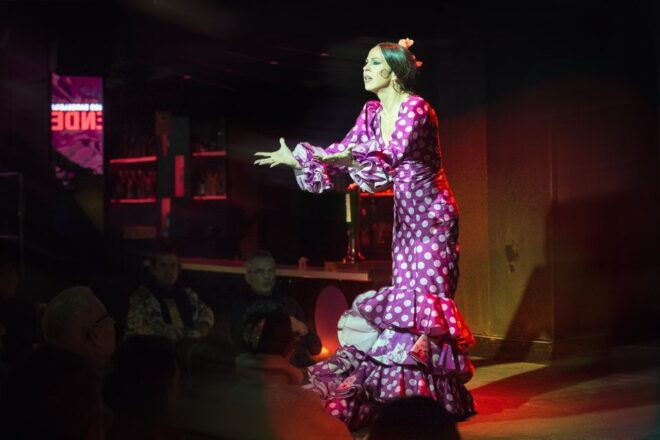 Barcelona: Flamenco Show at El Duende - Inclusions