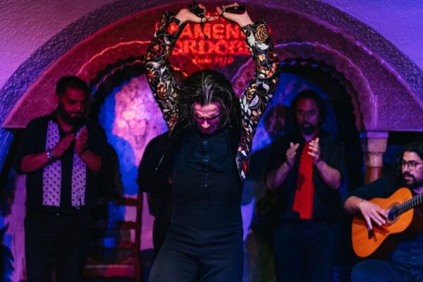 Barcelona: Flamenco Show at Tablao Flamenco Cordobes - The Sum Up