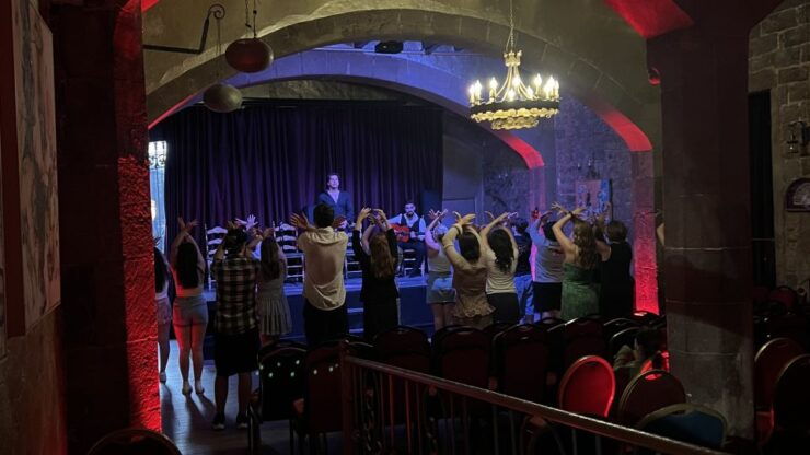 Barcelona: Flamenco Show With Optional Sangria Workshop - Activity Details