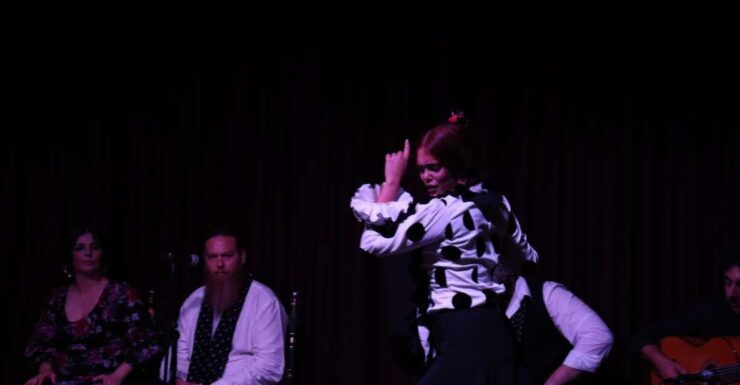 Barcelona: Flamenco Show With Optional Sangria Workshop - Experience Highlights