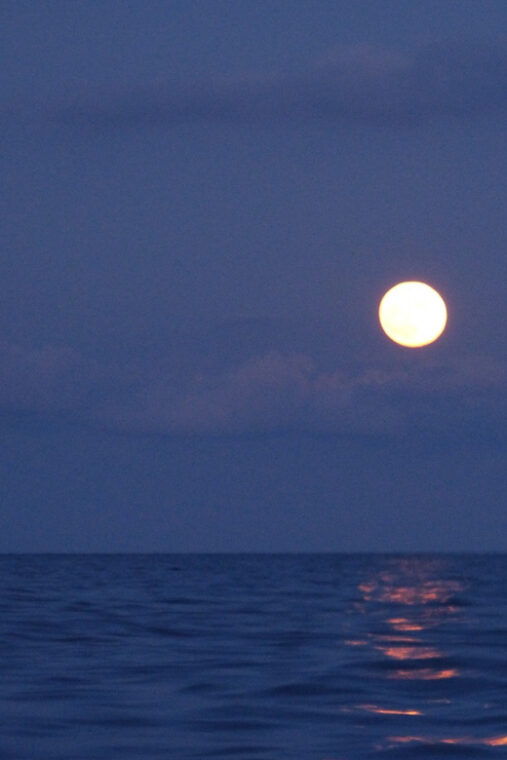 Barcelona Full Moon Cruise - Inclusions