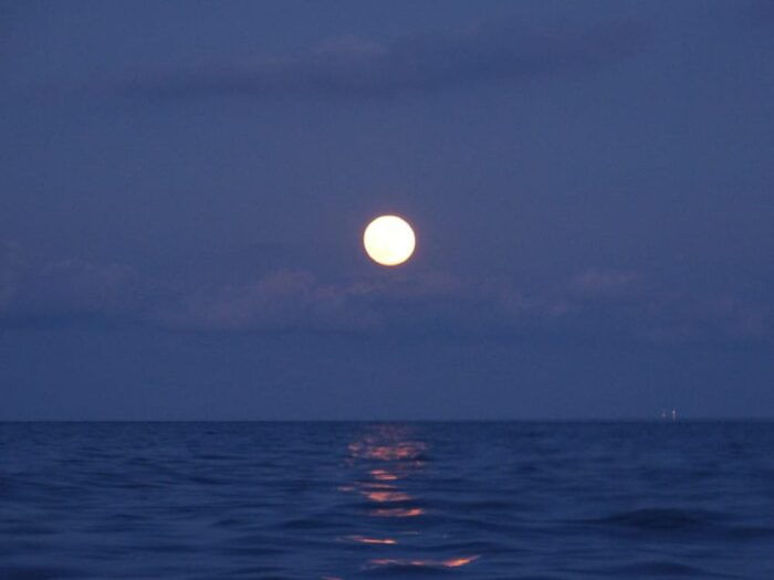 Barcelona Full Moon Cruise - Common Questions