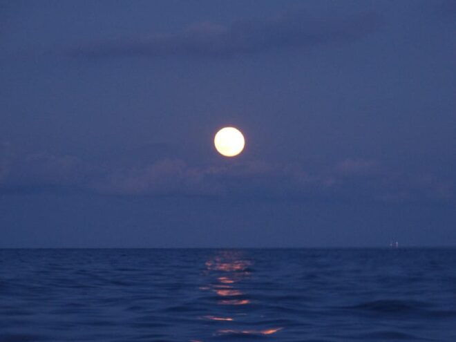 Barcelona Full Moon Cruise - Meeting Point
