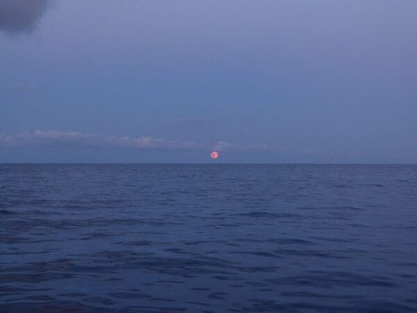 Barcelona: Full Moon Sailing Tour - Tour Language