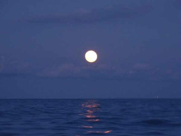Barcelona: Full Moon Sailing Tour - Tips and Inclusions