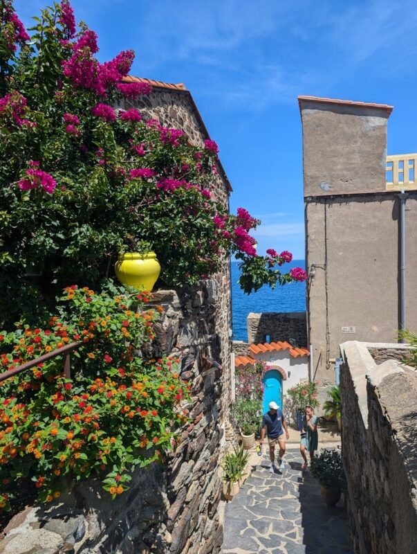 Barcelona Girona & Collioure Full-Day Small Group Tour - Collioure’s Mediterranean pause