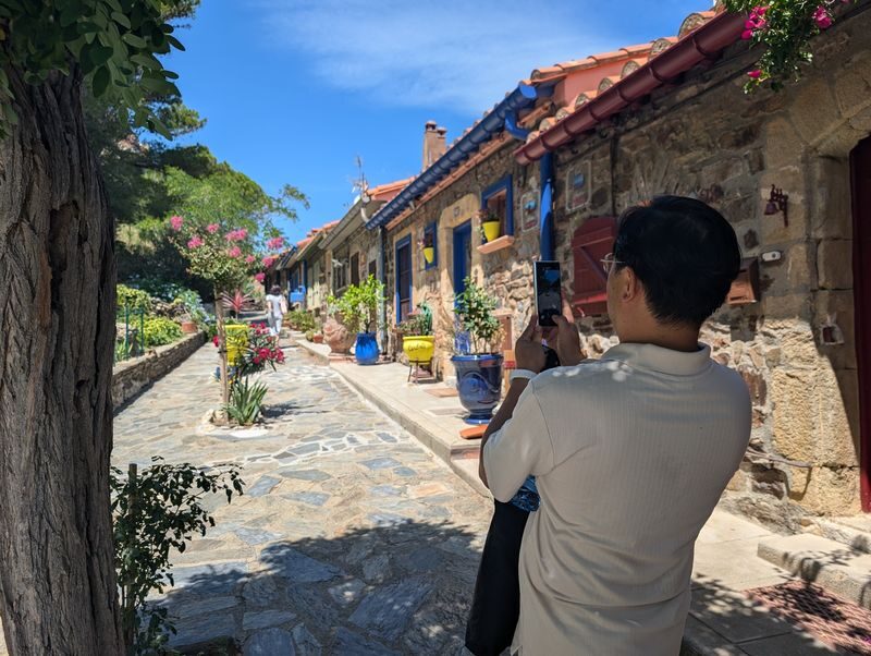 Barcelona Girona & Collioure Full-Day Small Group Tour - What a small van changes