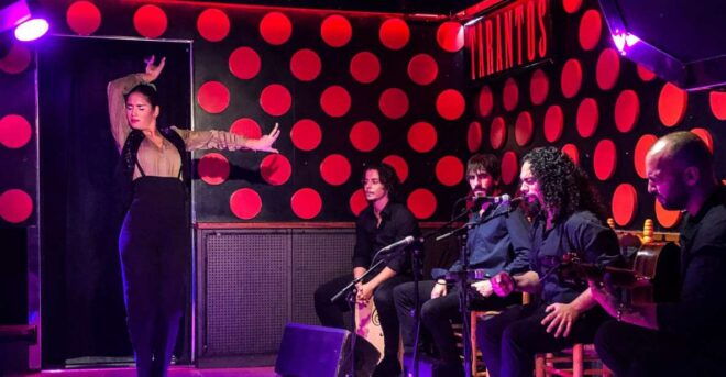 Barcelona: Gothic Quarter and Flamenco Show (Small Group) - Inclusions