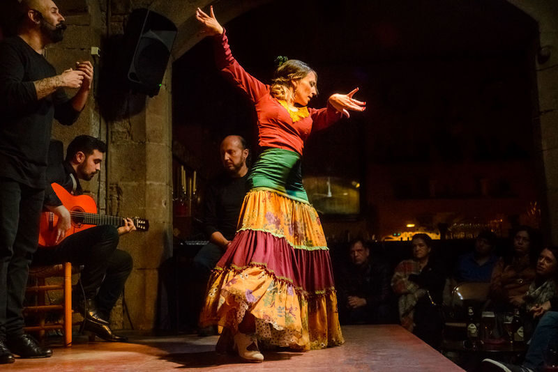 Barcelona Gothic Quarter Tour with Tapas, Wine and Flamenco Show - From Via Laietana into the Gothic Quarter