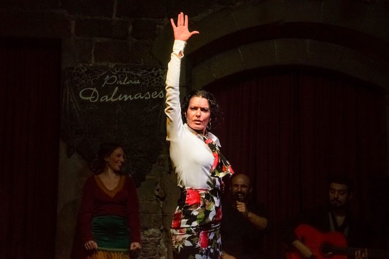 Barcelona Gothic Quarter Tour with Tapas, Wine and Flamenco Show - Is the price worth it?