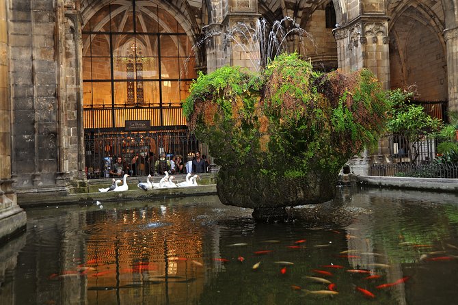 Barcelona Gothic Quarter Walking Tour - Tour Guide Performance