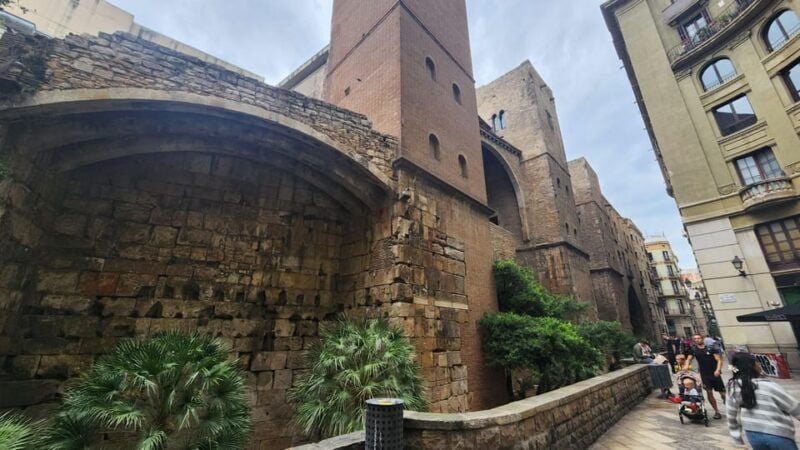 Barcelona: Gothic Quarter Walking Tour in Dutch - Good To Know