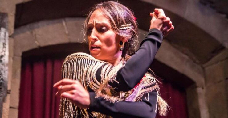 Barcelona: Gothic Walking Tour With Tapas & Flamenco Show - Tour Details