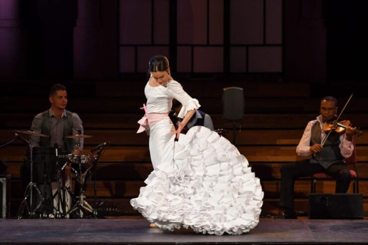 Barcelona: Gran Gala Flamenco Show Entry Ticket - Ticket Details and Options