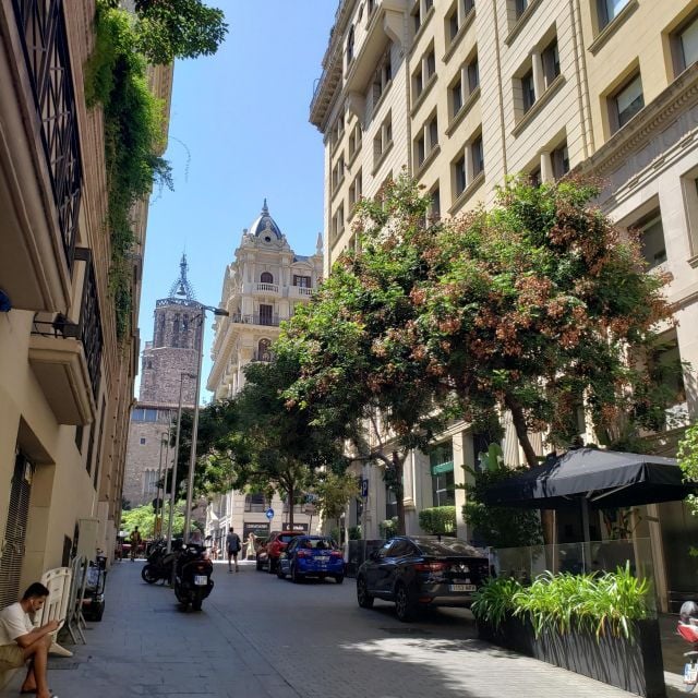 Barcelona: Guided City Sightseeing Tour by Bike or E-Bike - Important Information