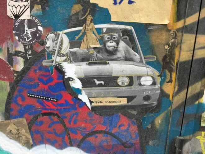 Barcelona: Guided Half-Day Alternative Street Art Tour - Inclusions and Participants