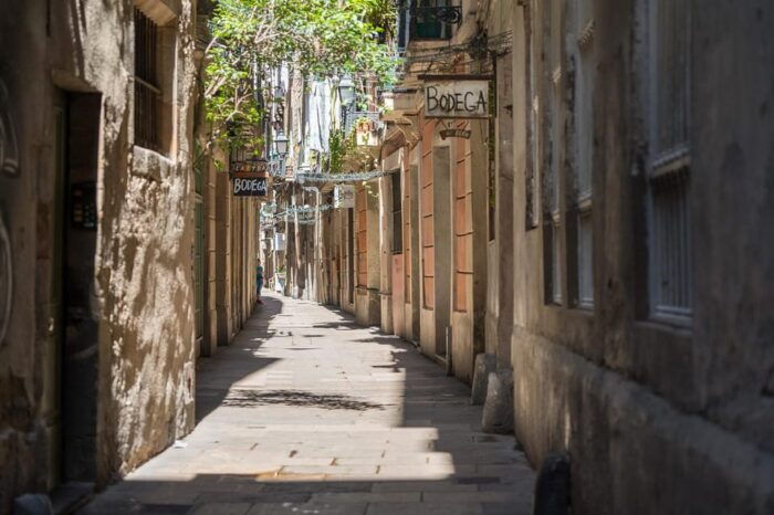 Barcelona Guided Tour in French - Additional Tips for Your Barcelona Visit