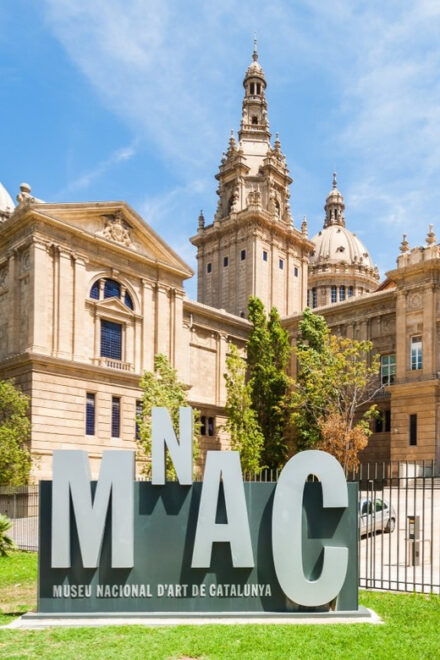 Barcelona: Guided Tour of Museu Nacional Dart De Catalunya - Guided Experience