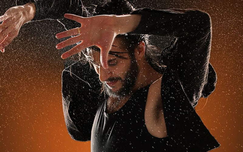 Barcelona Guitar Trio and Flamenco Dance Ticket - Who should book this performance?