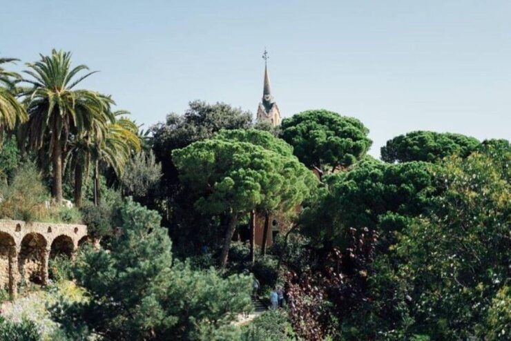 Barcelona: Half-Day Private Tour With Driver - Experience Highlights