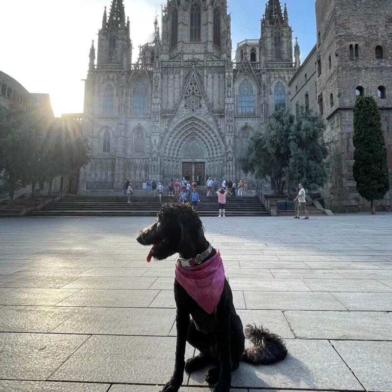 Barcelona: Hidden Gems Walking Tour with a Local & Dog - Exploring the Itinerary: A Deep Dive into Each Stop