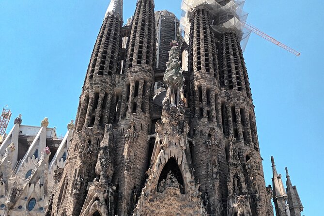 Barcelona Highlights Bike Tour - Details of the Bike Tour