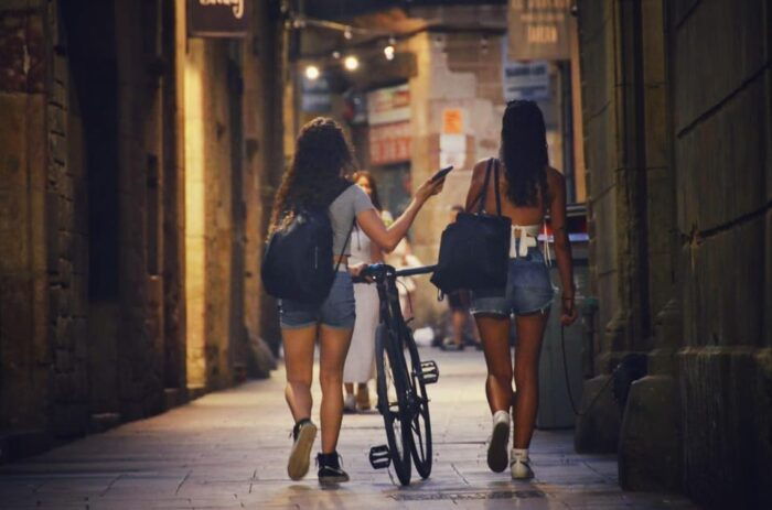 Barcelona: Highlights Walk - Ramblas, Old Town, Gaudí Sights - Inclusions and Accessibility