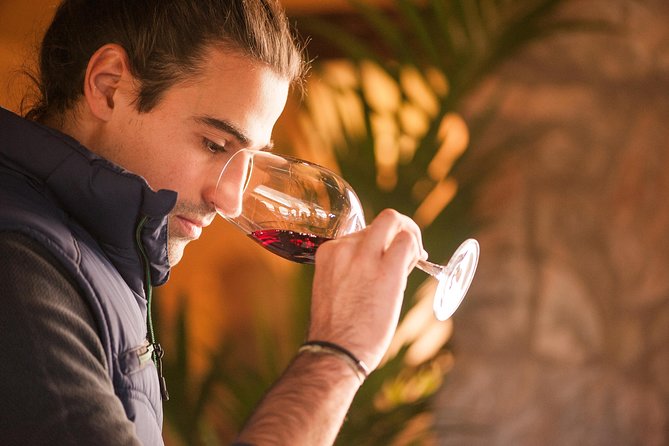 Barcelona Highlights, Walking & Wine Private Tour - Private Experience