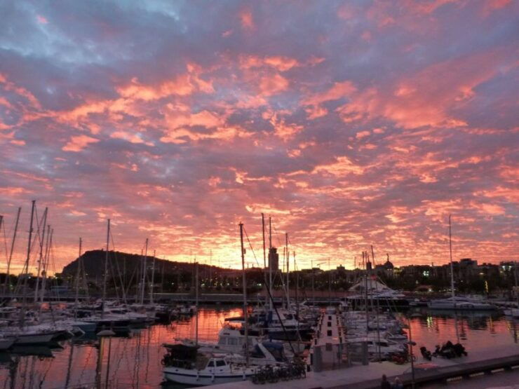 Barcelona: History Museum of Catalonia Skip-The-Line Ticket - Experience at the Museum