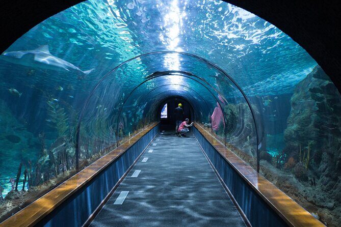 Barcelona Hop On Hop Off Bus Tour With Aquarium Admission - In-Depth Look at the Tour Experience