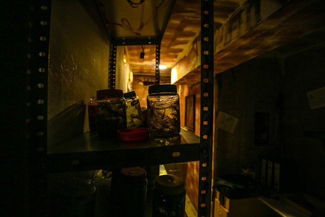 Barcelona: Horror Escape Room Adventure - Common Questions