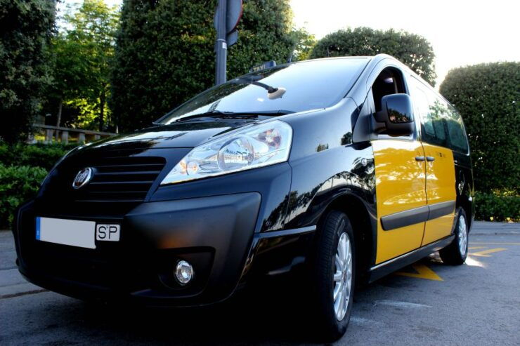 Barcelona: Hotel to Cruise Terminal Private 1-Way Transfer - Booking Details and Flexibility