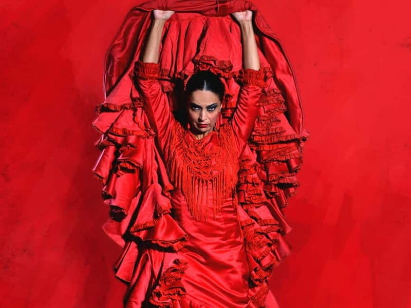 Barcelona: "Inspiration" Live Flamenco Show - The Experience: A Closer Look