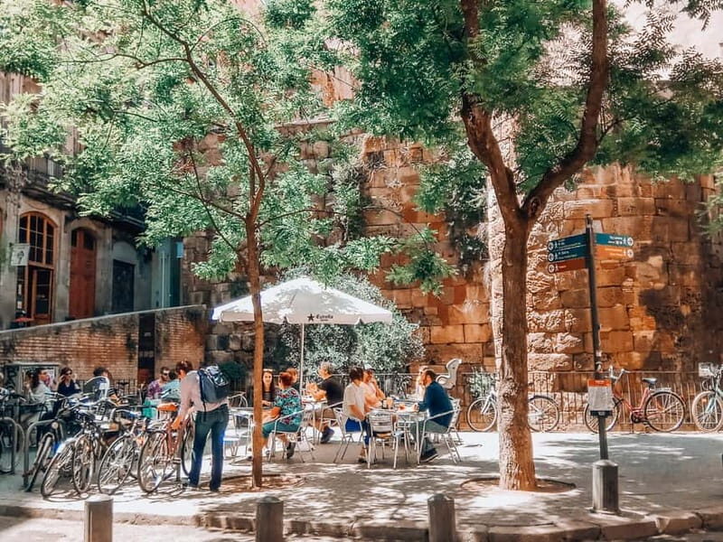 Barcelona: Introduction to the Gothic Quarter Walking Tour - Good To Know