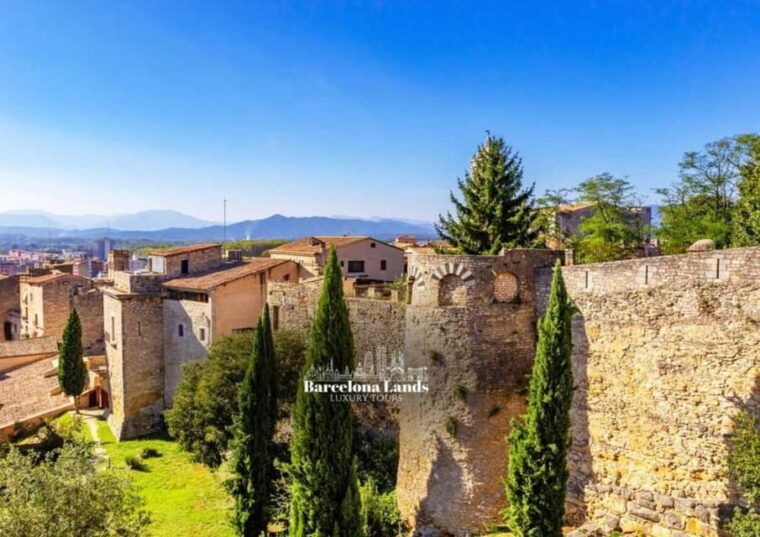 Barcelona: Luxury Dalí and Girona Tour - Dalí Theatre and Museum (Figueres)