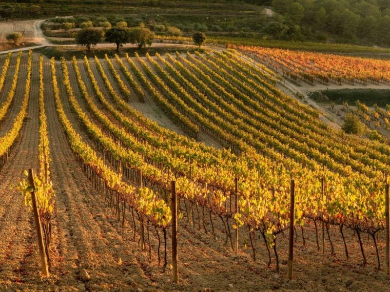 Barcelona: Luxury Tour, Buggy Route, Lunch & Penedes Wines - Pickup and Return Details
