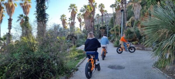 Barcelona: Montjuic E-Bike Tour - The Sum Up