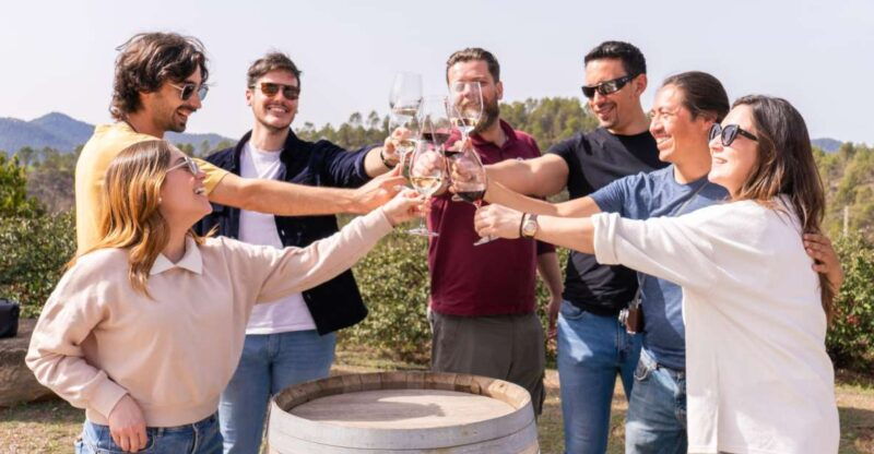 Barcelona: Montserrat, Winery Tour & Lunch With Wine Tasting - Itinerary Highlights