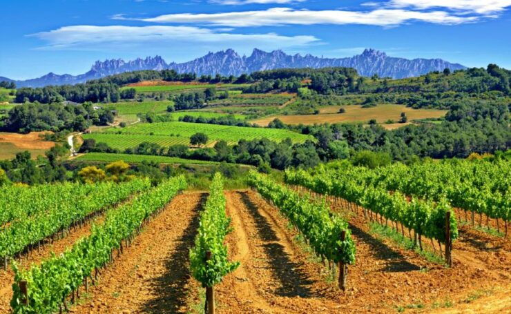 Barcelona: Montserrtat Hike and Winery Tour With Tasting - Booking Details and Logistics