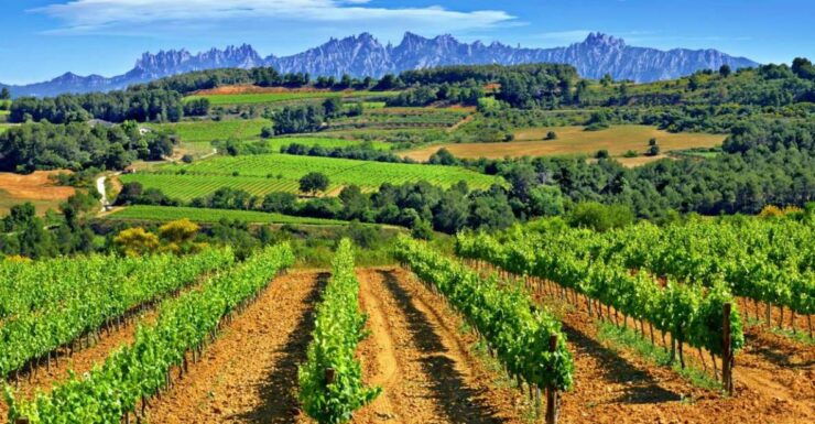 Barcelona: Montserrtat Hike and Winery Tour With Tasting - Experience Highlights