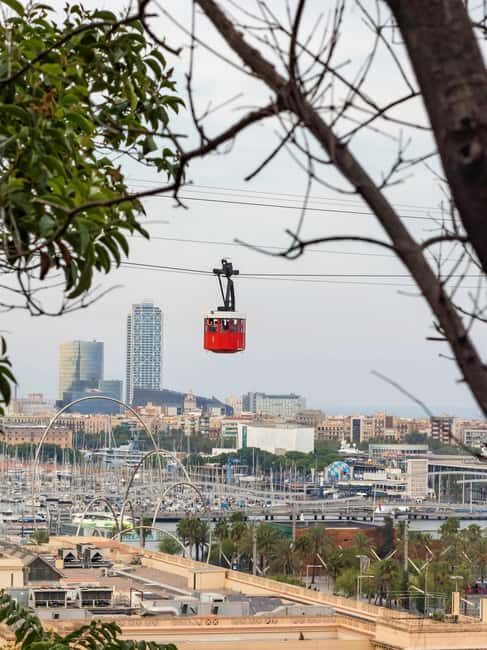 Barcelona: Night Lights & Tapas Tour by Car - The Experience: What to Expect on the Night Lights & Tapas Tour