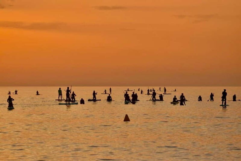 Barcelona: Paddleboarding at Sunrise. Includes: instructor, photos, equipment - Arriving and Meeting Up