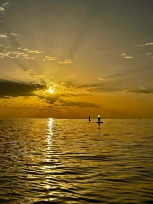 Barcelona: Paddleboarding at Sunrise. Includes: instructor, photos, equipment - The Sunrise Experience