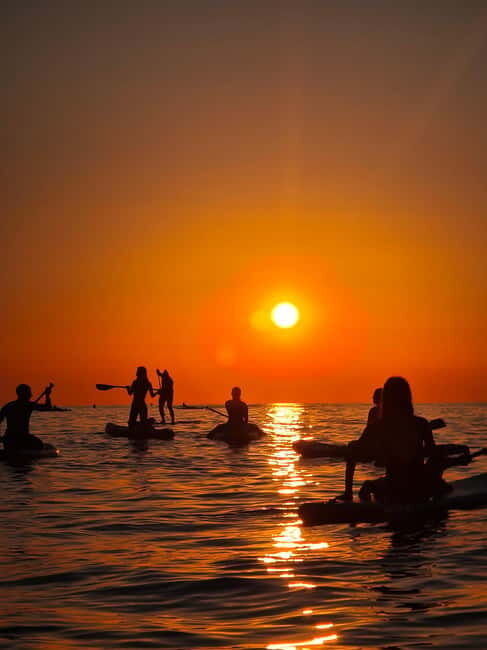 Barcelona: Paddleboarding at Sunrise. Includes: instructor, photos, equipment - Paddling and Technique