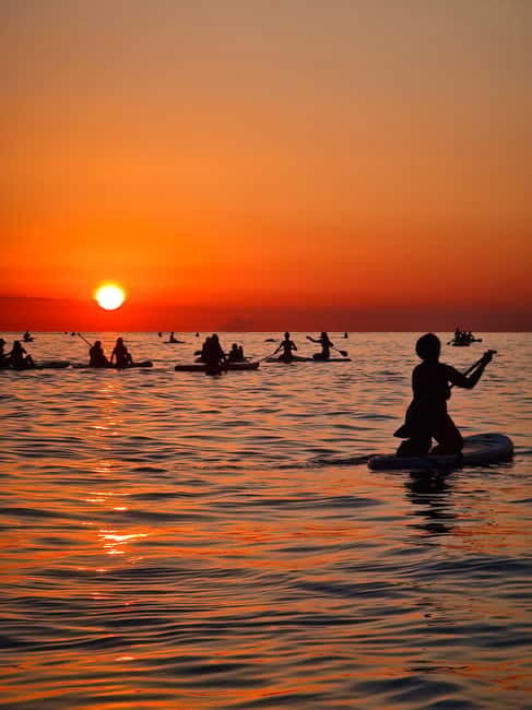 Barcelona: Paddleboarding at Sunrise. Includes: instructor, photos, equipment - The Sum Up