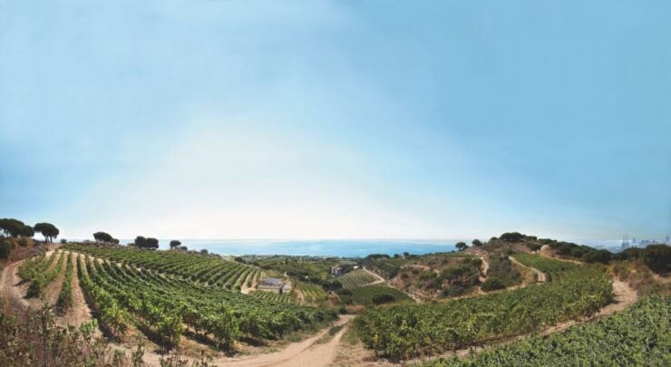 Barcelona: Paella Cooking Class and Alella Winery Tour - Paella Cooking Class and Lunch