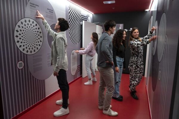 Barcelona: Paradox Museum Entry Ticket - The Sum Up